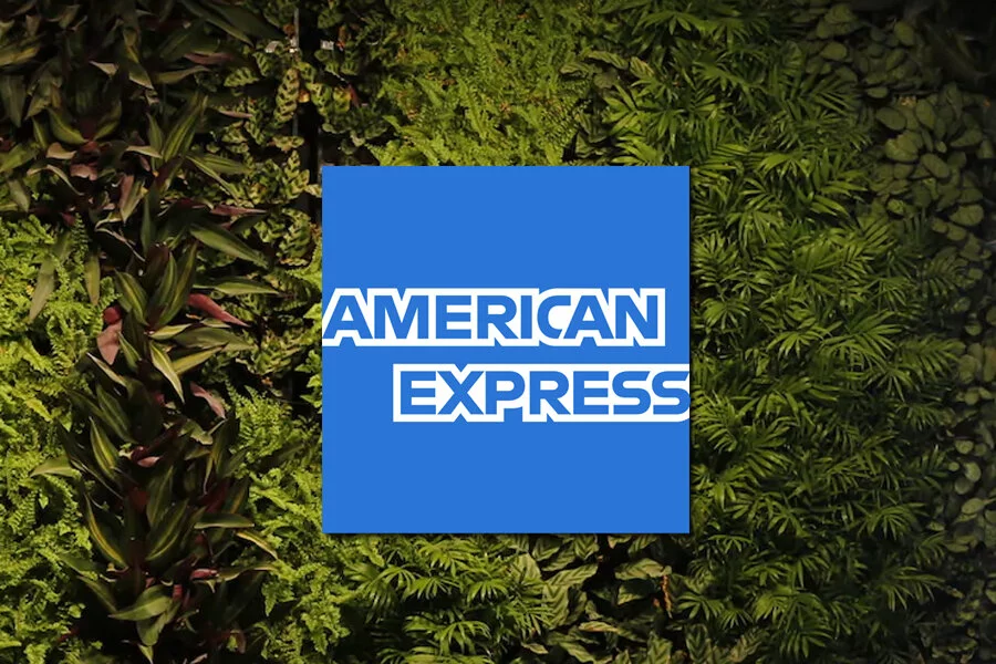 Review American Express Rewards Credit Card